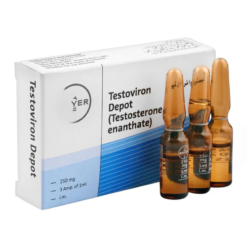 Testosterone Bayer 250mg/ml 3x1ml